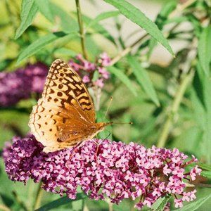 Meet your Posher, Kristin